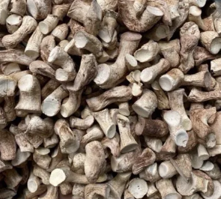 TRUSTED PRODUCTS HIGH QUALITY SHITAKE MUSHROOMS FOOT/ AT COMPETITIVE PRICE - VIET DELTA