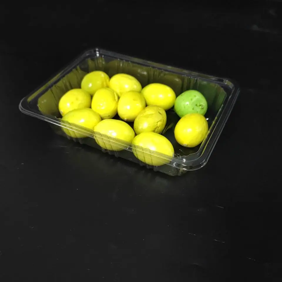 Absorbent Clear Plastic Meat Packing Tray For Supermarket Bandejas Desechables Meat Tray Packaging