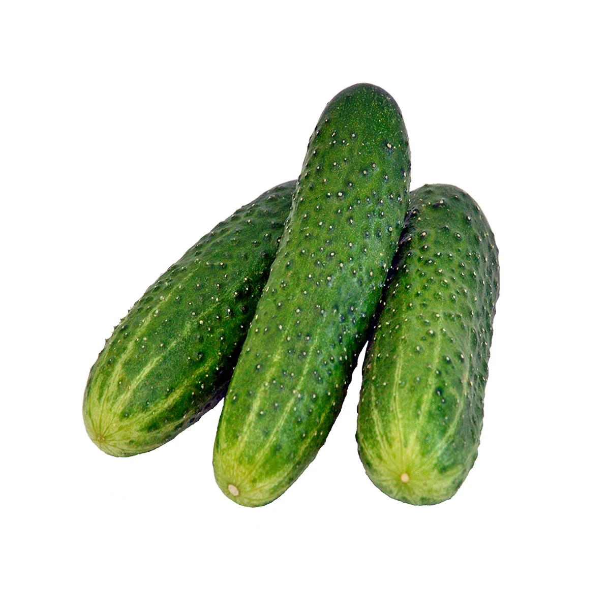 Свежие овощи высокого качества 6 кг в пластиковой или картонной коробке, натуральные фрукты из Узбекистана, свежий огурец для пищевых продуктов