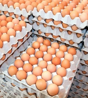 Fresh Chicken Table Eggs Brown and White Shell Chicken Eggs for sale