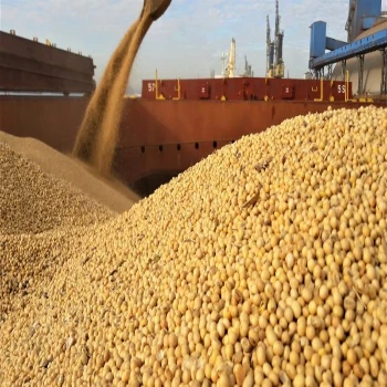 Best Quality Natural and Non- GMO Yellow Soybean Seeds / Soybean / Soya beans High QualitySouth Africa Origin