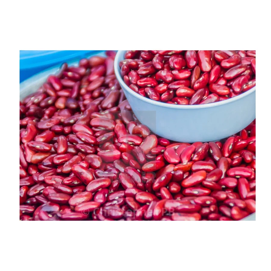 Non-GMO High Grade Natural Bulk Dried Red Beans from Uzbekistan Dry Tomato Red Kidney Beans for Food