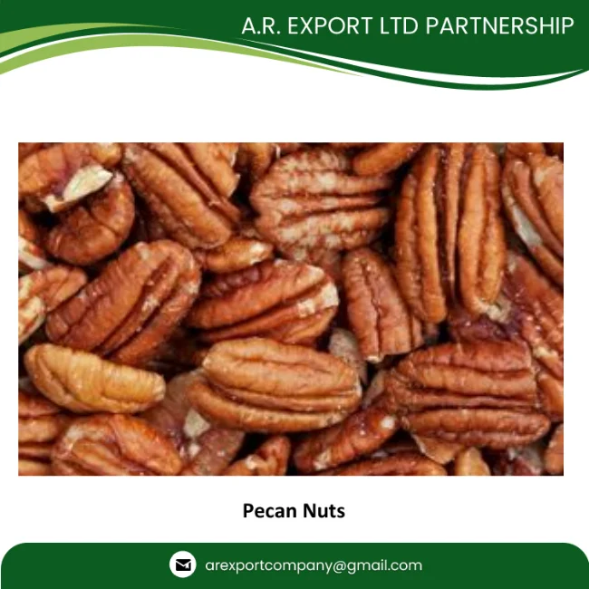 Healthy and Organic Pecan Nut Exporter from Thailand Ready Available to Export at Best Price