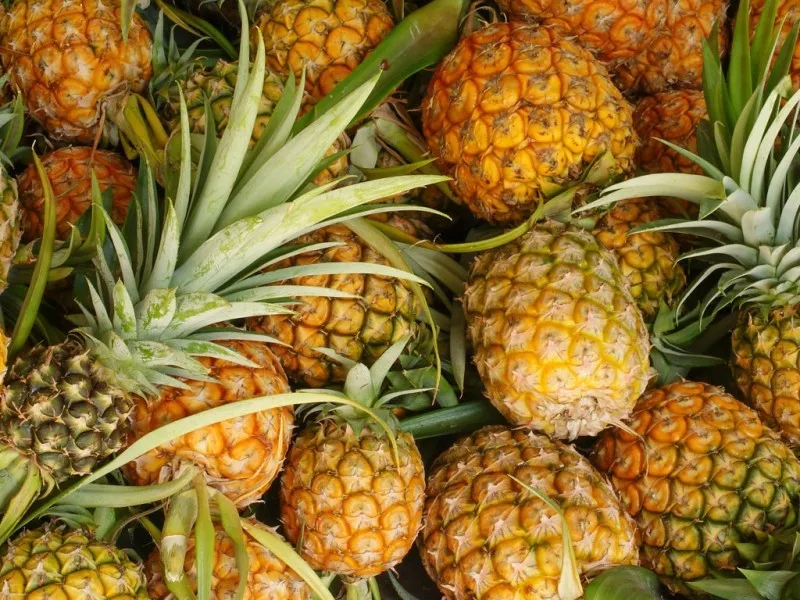 Fresh Pineapples7.jpeg