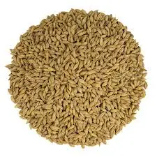 Premium Quality Wholesale Canary Seeds Organic Animal Feed Ready For Export
