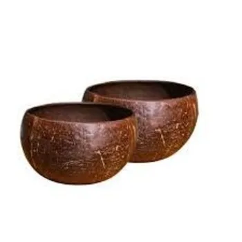 3-4cm Coconut Shell Origin  2021 cheap price / Broken Coconut Shell / unpolished Raw Coconut Shell