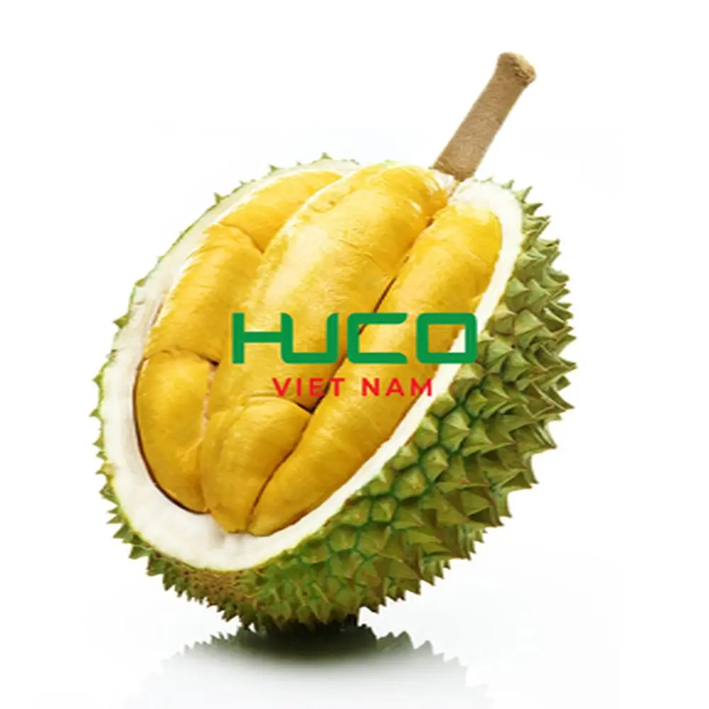 Fresh Durian Fruit from Vietnam High Quality at Cheap Price for worldwide shipping