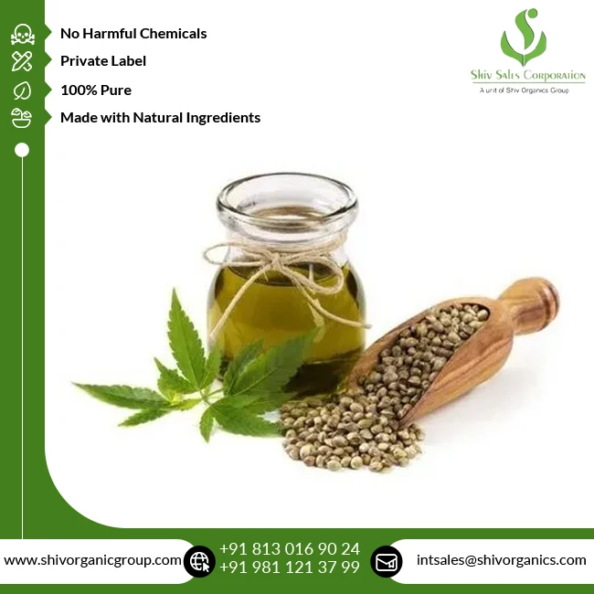 Good Quality Therapeutic Grade 100% Pure and Natural Cold Pressed Carrier Hempseed Oil from Indian Supplier