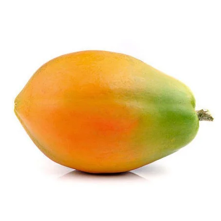 Top Quality Pure 100% Natural Papaya Powder Papaya Fruit Powder Papaya Juice Powder