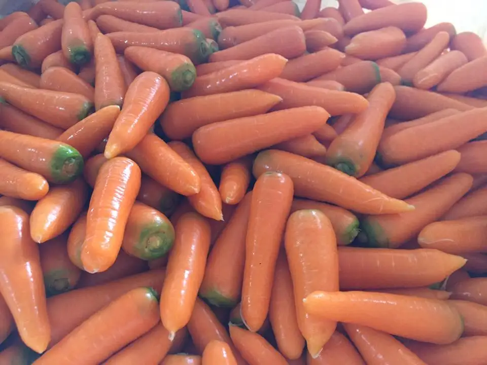 Свежая Органическая Морковь из Вьетнама Высококачественная в коробке размер S M L новый урожай