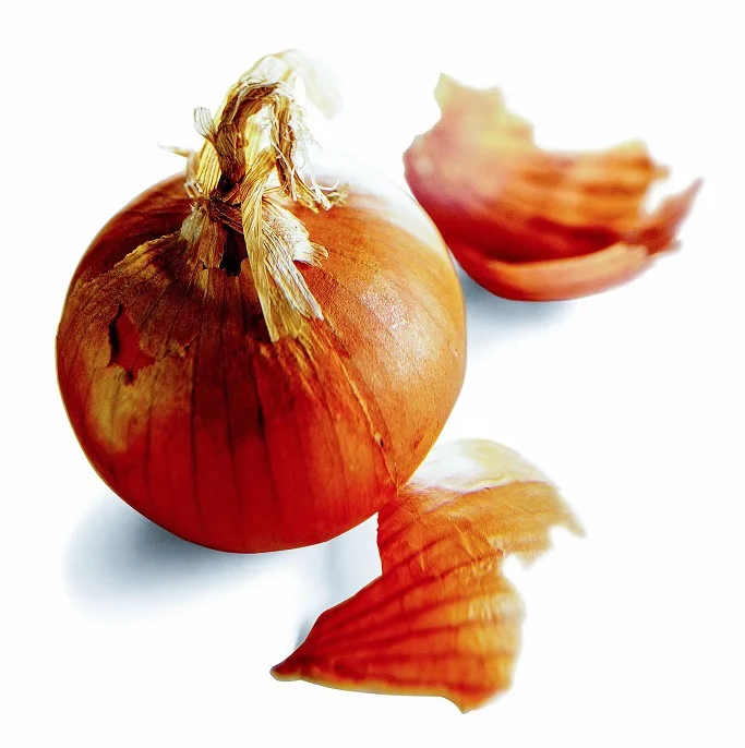 Direct Factory Supply Fresh Organic Red Onion for Food Ingredients Available at Wholesale Price from India