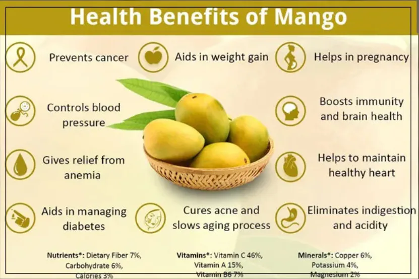 Best price 2023 Premium Fresh Mango From Vietnam100% Natural Premium Grade of Fresh Mango with Best Taste