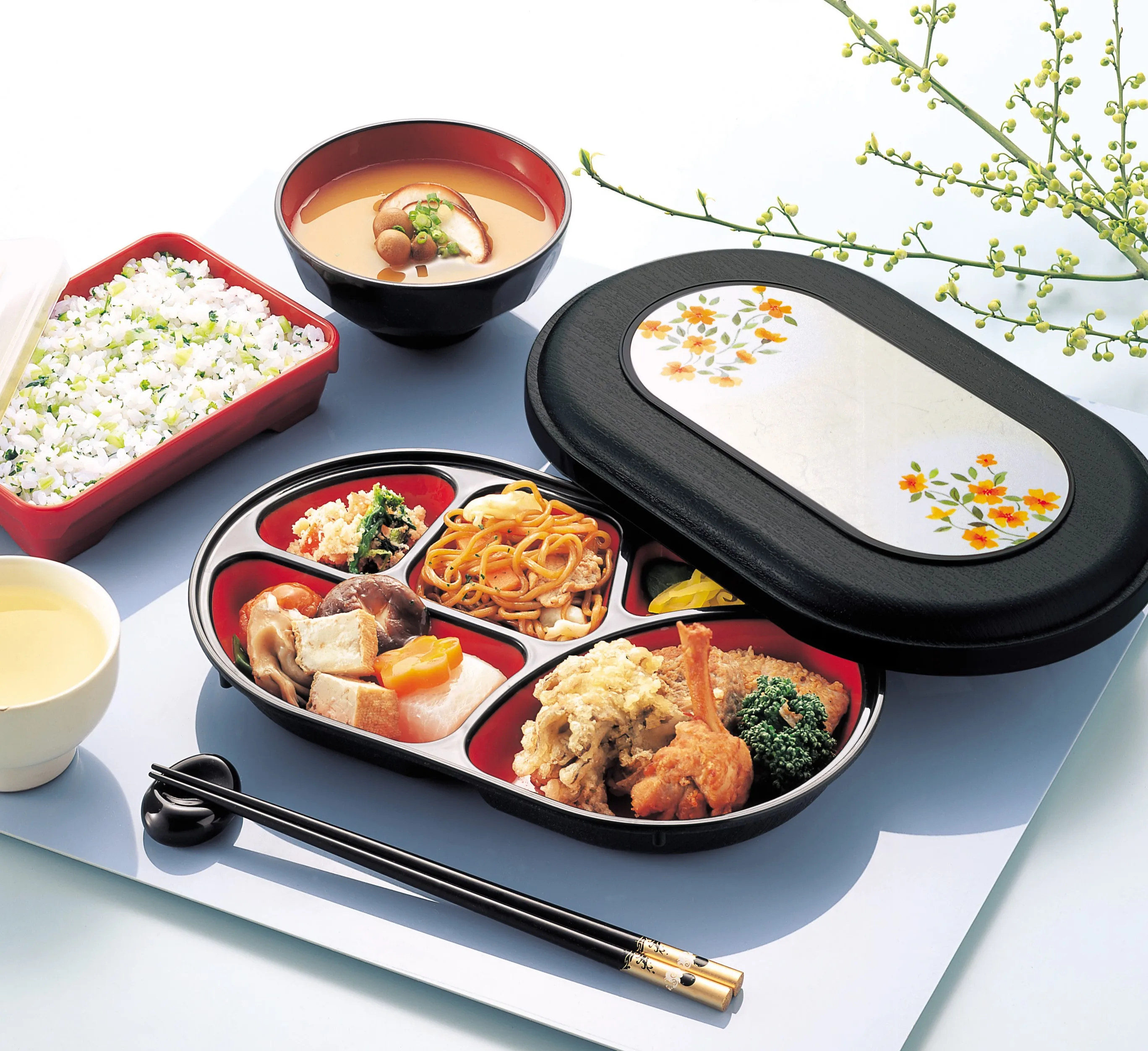 Japanese reusable bento lunch box dine-in restaurant 5 compartments microwavable dishwash machine safe plastic pp lacquerware