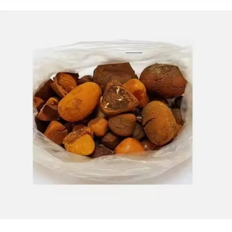 Quality dried Cow Ox Gallstones | Cattle Gallstones| Cow Gallstones and Bezoar