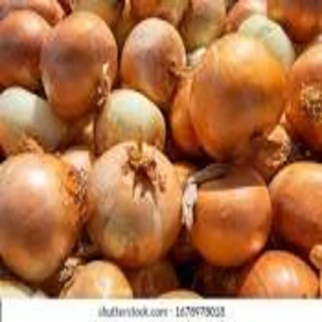 onion import export high quality low price vegetable wholesale price onion wholesale Dehydrated Dry Yellow Onion Flakes