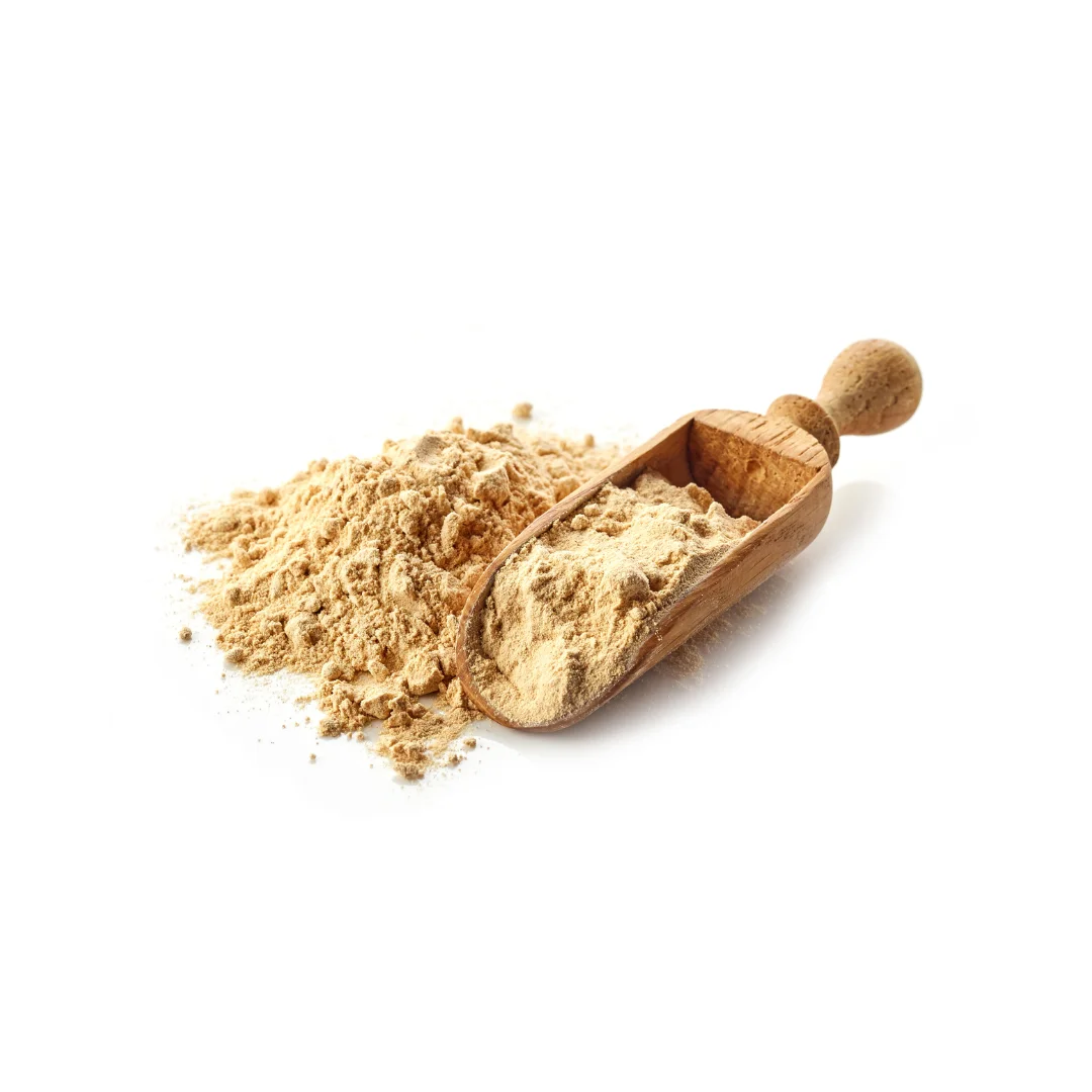 Mango Delight: Dehydrated Mango Powder for Sweet and Savory Dishes Available in Bulk Prices