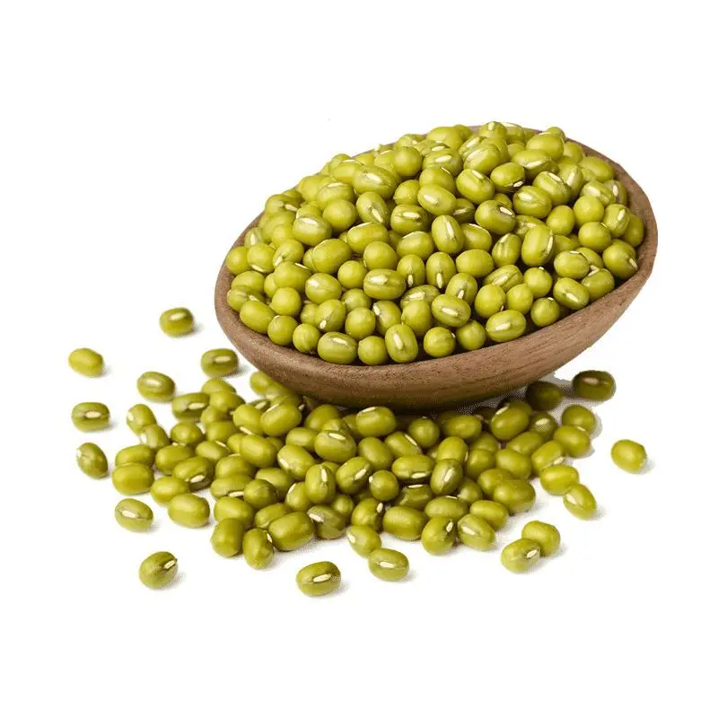100% Organic Green Mung Beans/ Moong Dal Sprout Mung Beans Use For Sale