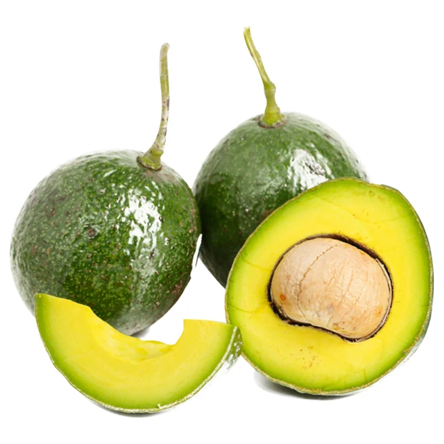 BOOTH AVOCADO 100% FRESH HIGH QUALITY PRODUCED IN VIET GREAT PRICE