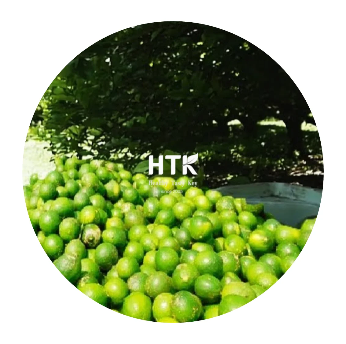 2022 Замороженный IQF зеленый лайм Лучшая цена сделано во Вьетнаме 100% натуральный от HTK FOODS для пищевых продуктов и