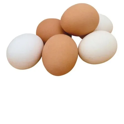 Good Quality Table Eggs and Broiler Hatching Eggs Ross 308 and Cobb 500 and Chicken Fresh Table Eggs Available