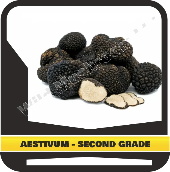Свежий черный клубок AESTIVUM-Второй