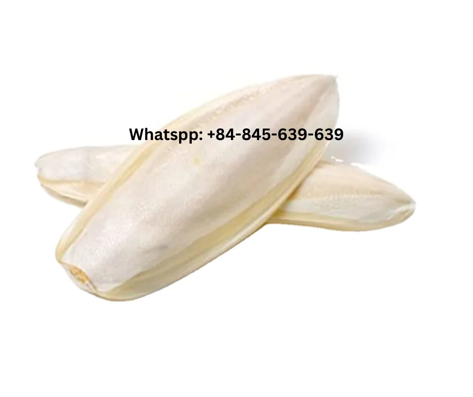 Natural Cuttlefish Bone Essential Calcium for Birds and Reptiles/ Premium-grade cuttlefish bone for calcium supplementation.
