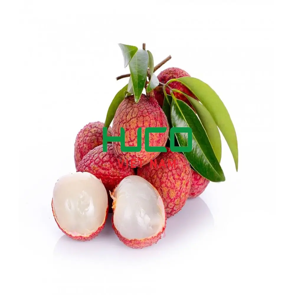 Viet Nam Fresh lychee with sweet taste Lychee 100% natural agriculture products wholesale tropical fruits origin Vietnam
