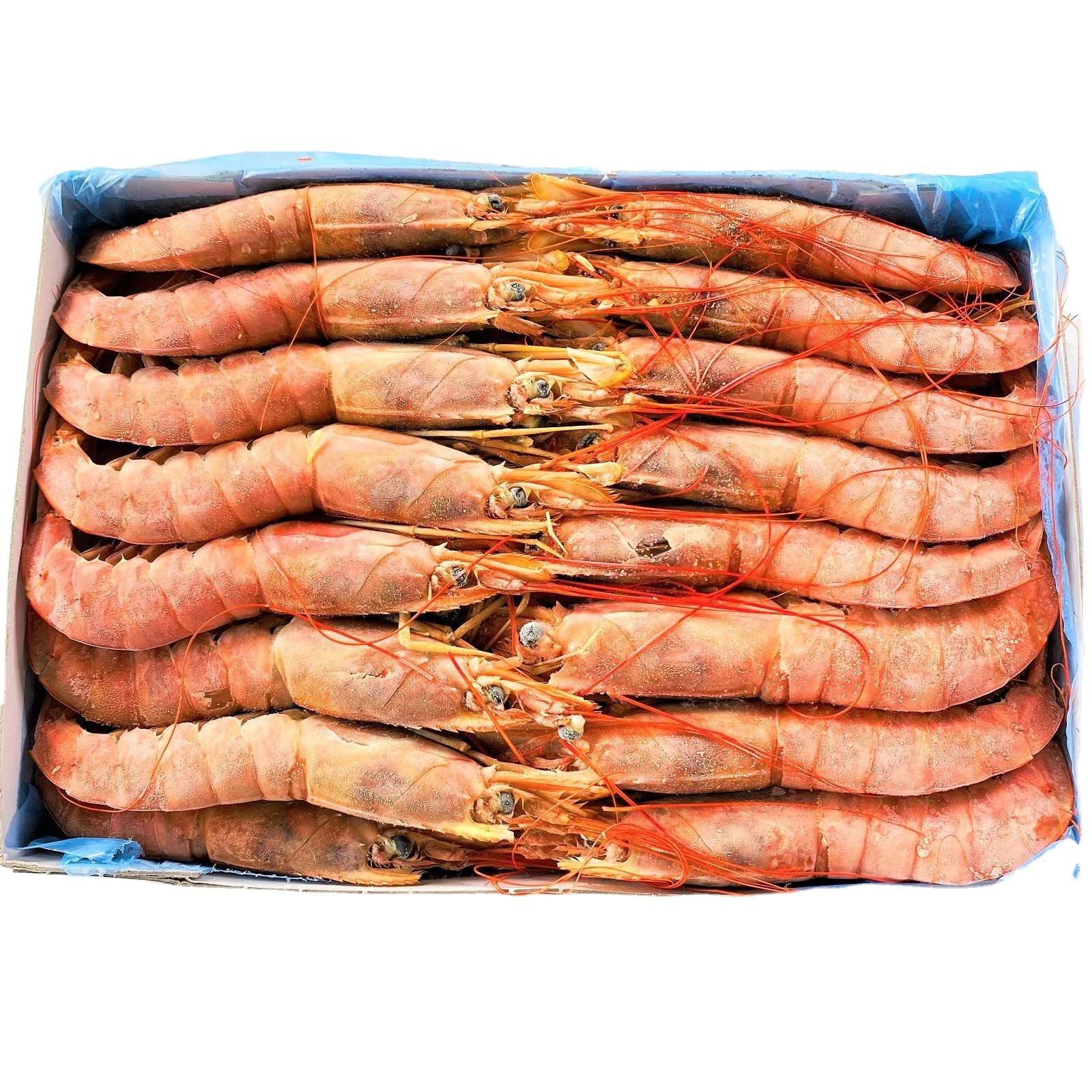 Fresh Frozen Vannamei Shrimp