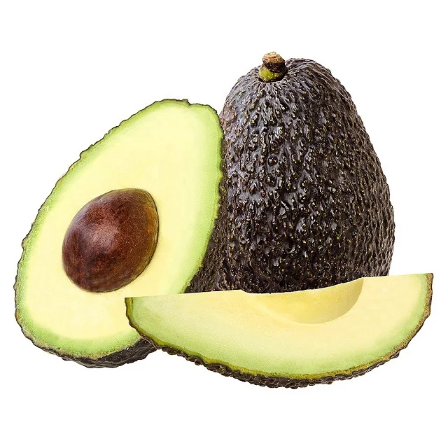 Peruvian Tropical Hass Avocado Fresh Fruit of Peru Style Origin Common Cultivation Model Variety Product from Fresh Avocados