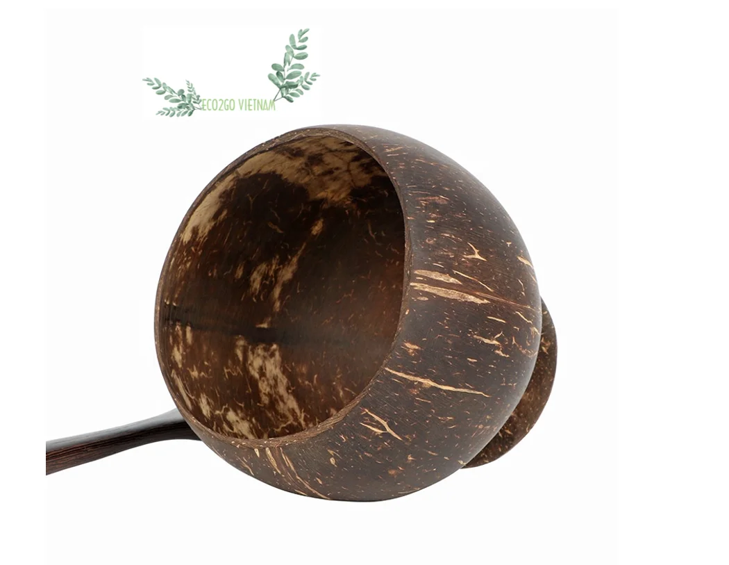 Top One Handicraft Coconut Cups For Drinks/ Coconut Shell Ice Cream Cup Includes Straw And Spoon With Cheap Price From Eco2go