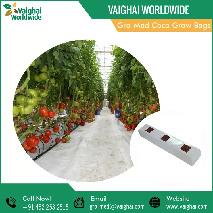 Coconut Coir Peat | Gro-Med Premium Quality Coco Peat Pellets Best Market Price for Your Seed Germination.