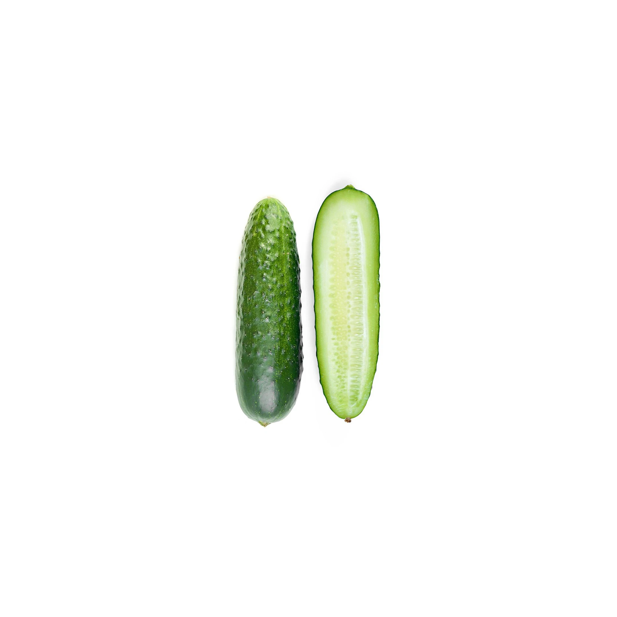 Premium Fresh Cucumber - Best Price High Quality Vegetable Available in