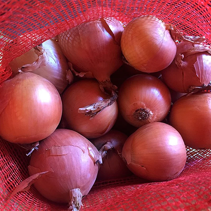 Fresh Red Onions Cheap Price Fresh Onion Wholesale Onion from Pakistan High Quality Natural Round Clean Pakistani 5 Ton 6 Cm