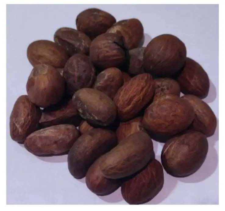 Premium Grade Light White Garcinia Bitter Kola