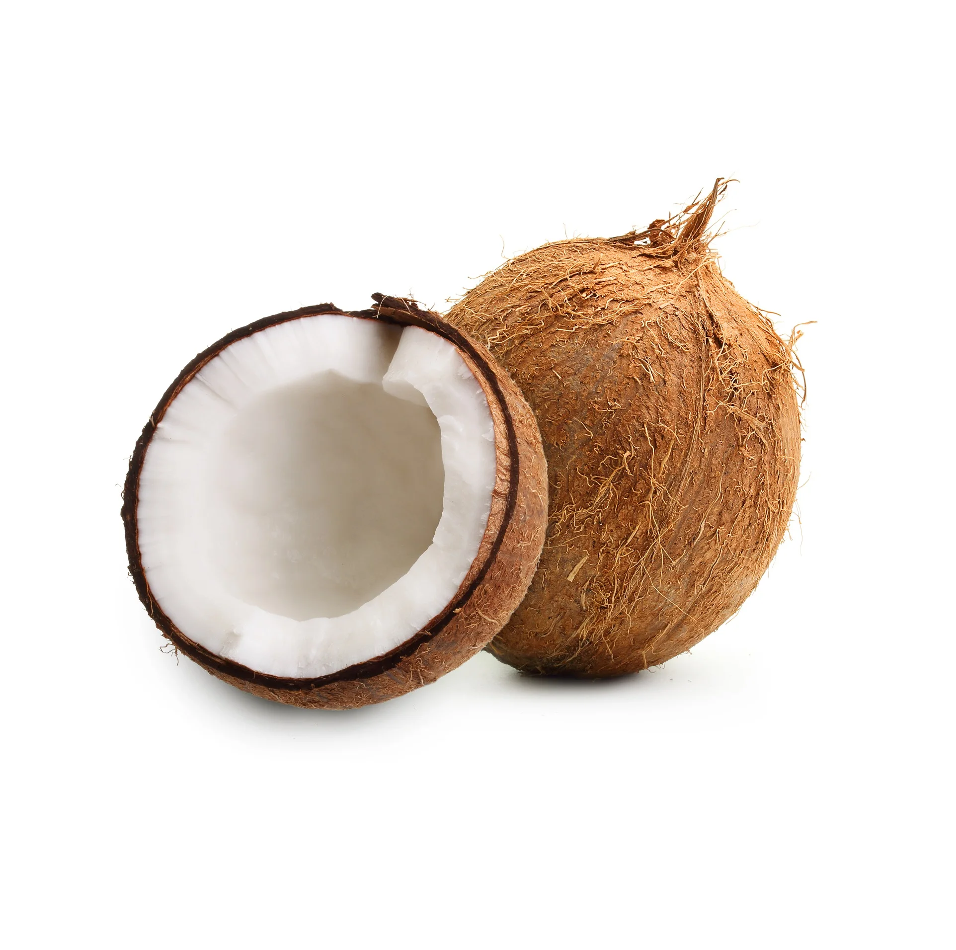 NEW ARRIVAL !!Semi-Husked Fresh mature coconut in bag Fresh newly harvested made in Viet Nam Fresh Coconut Natural Sweet Coconut