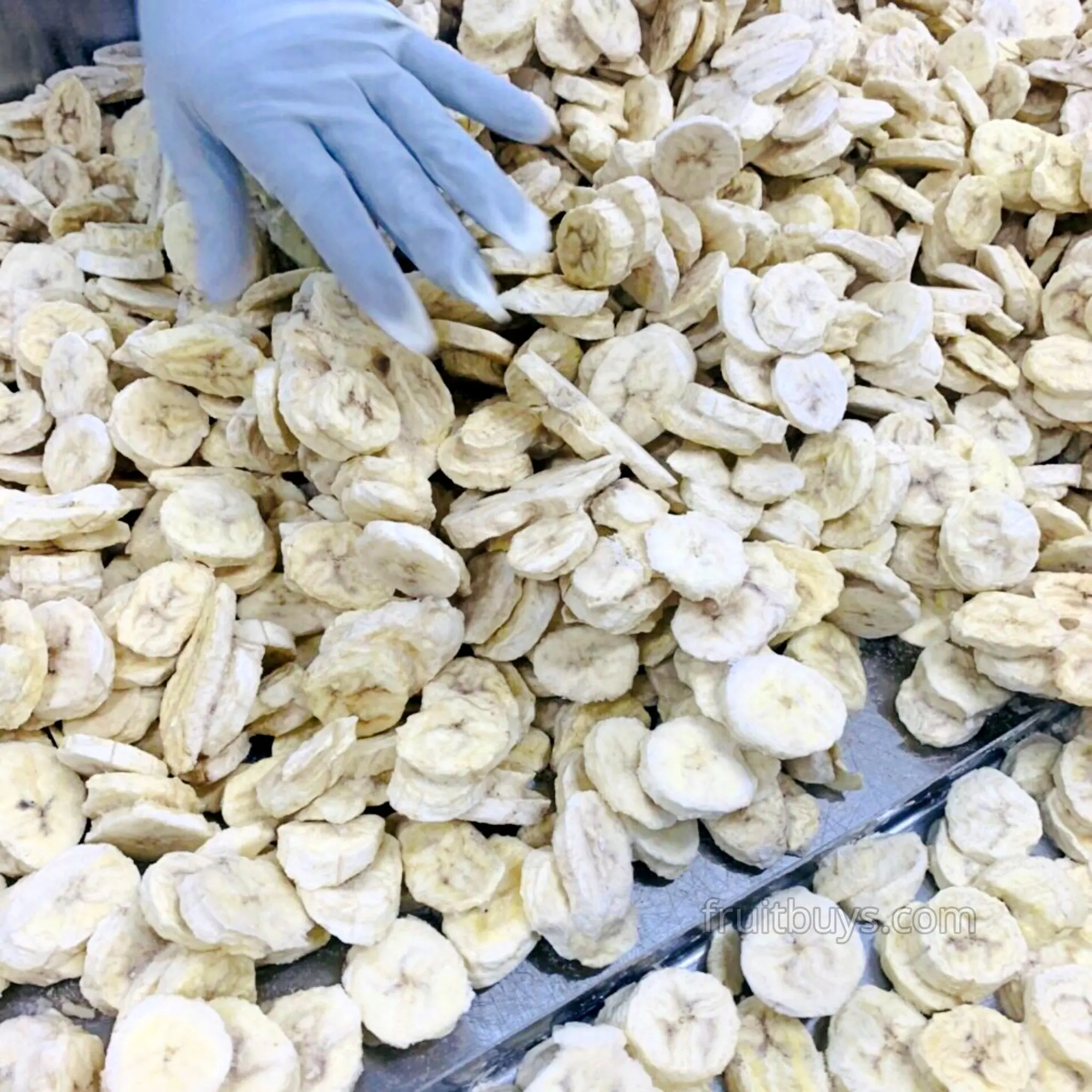 Vietnamese Snacks Freeze Dryed Fruits Dried Banana Free Sample To Try The Product Healthy Snacks Bulk