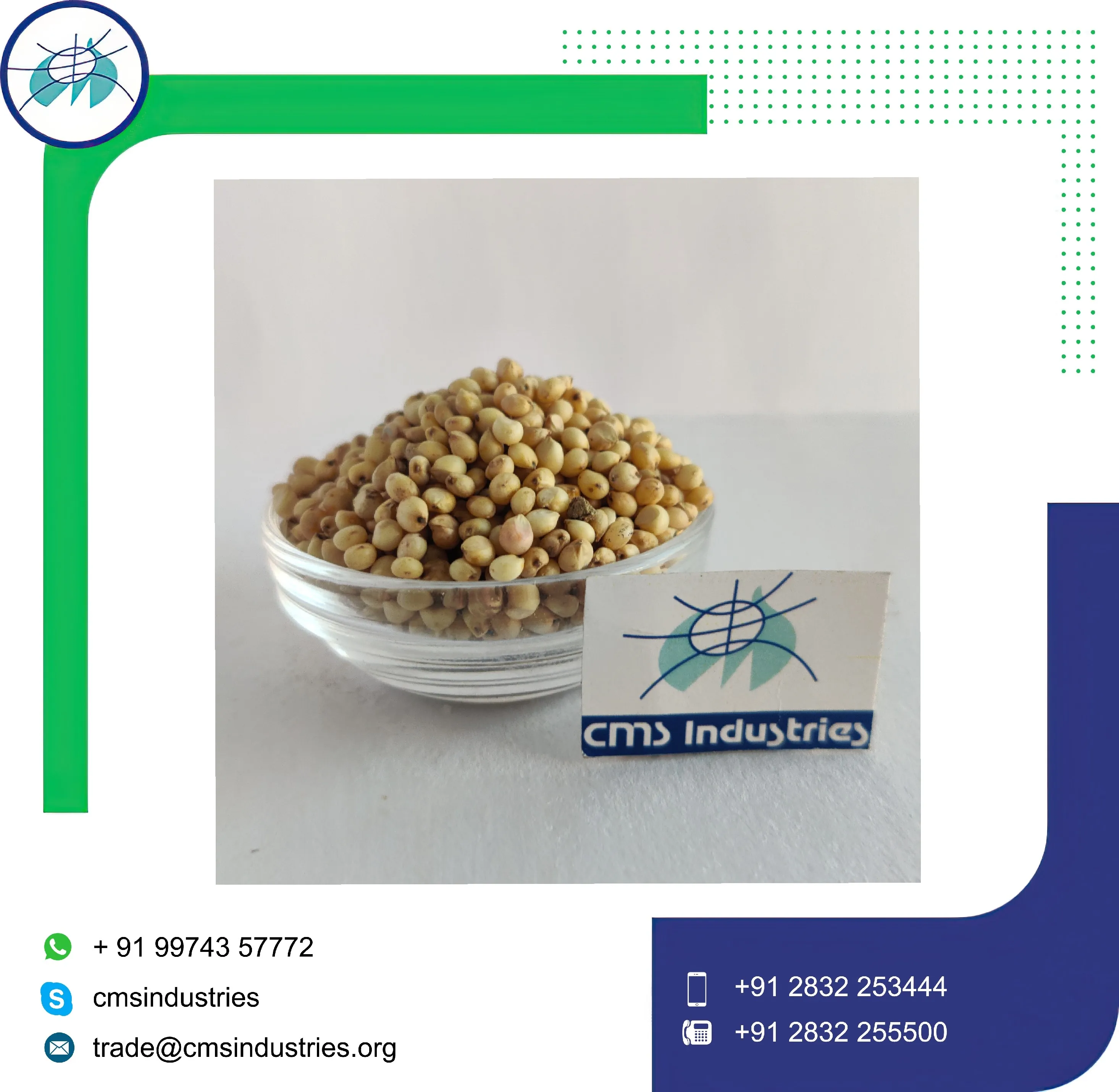 Natural and High Branded Milky White Sorghum Bird Consumption