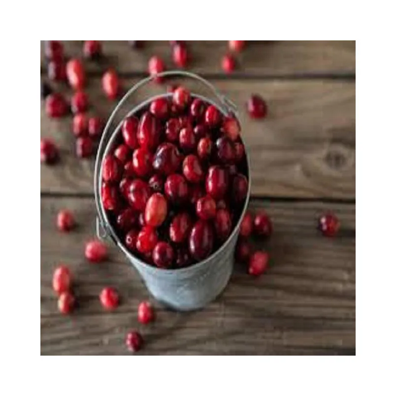 Cherries For Sale / Quality Natural Fresh Cherries