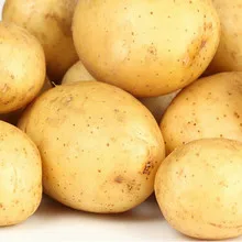 Irish Potatoes Fresh Potato France New Crop Export Quality Sweet Potato Fresh