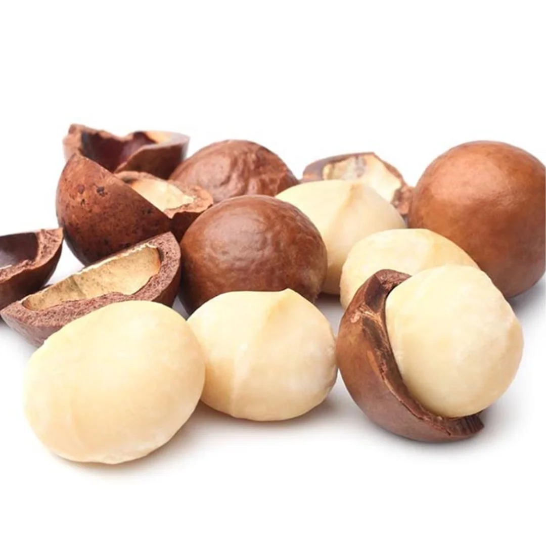Top Grade Roasted Macadamia Nuts Good Quality Salted in Shell Whole 22 25 mm Origin
