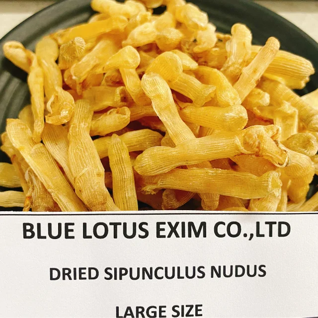 Сушеный морской червь SIPUNCULUS NUDUS из
