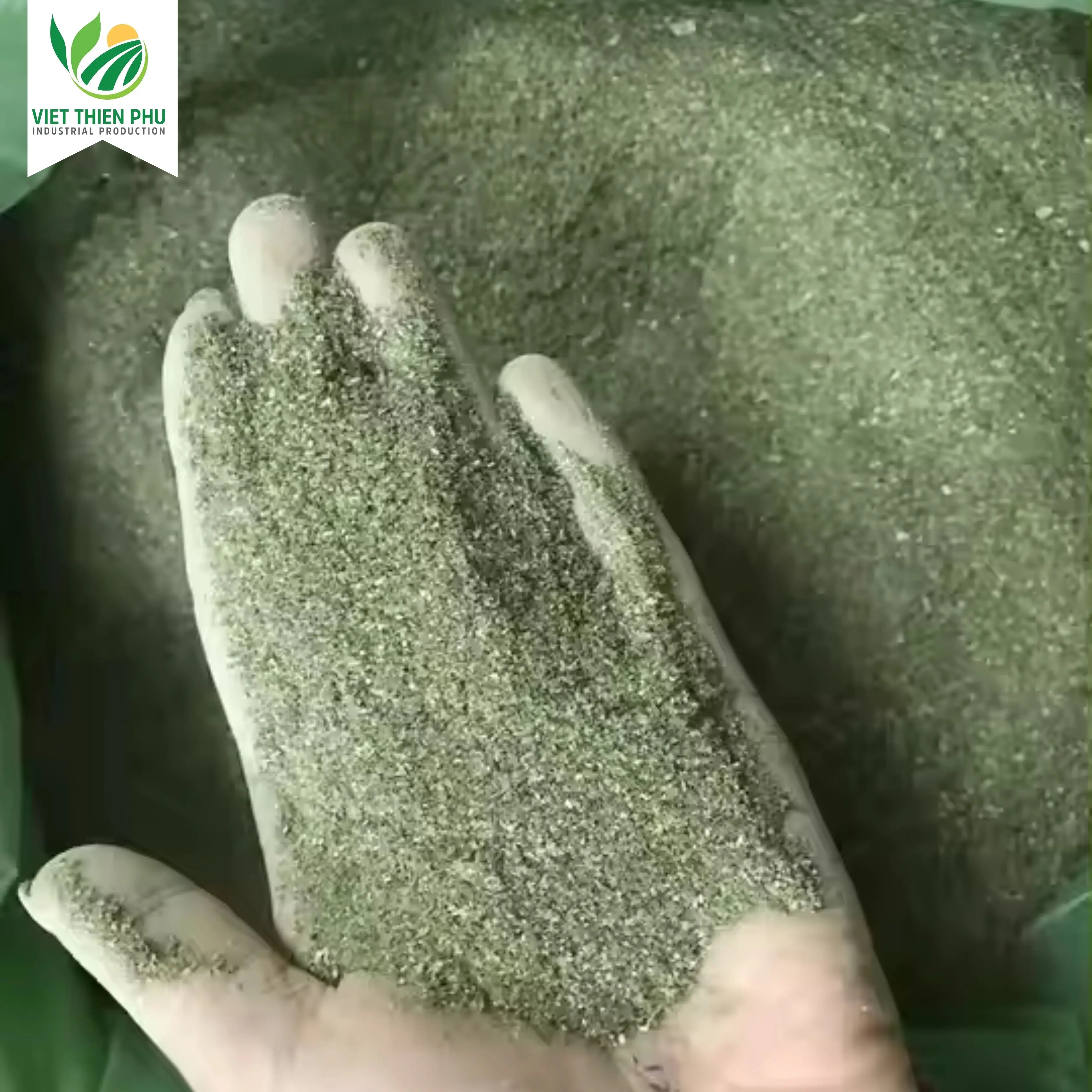 VIET THIEN PHU VTP/OL-50 Fertilizer Green Seaweed Powder /Green Seaweed Meal For Animal Feed