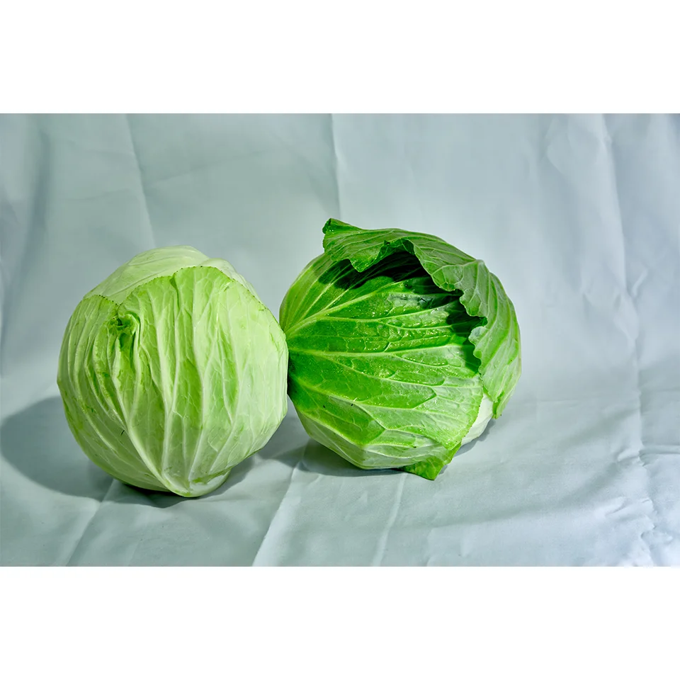 Fresh Vegetables Fresh Cabagle and Tomato  From Wholesale Green Farmer In Vietnam High Quality Nutrition Food