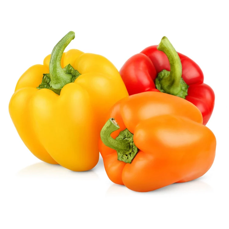 Export price frozen red bell pepper vegetable