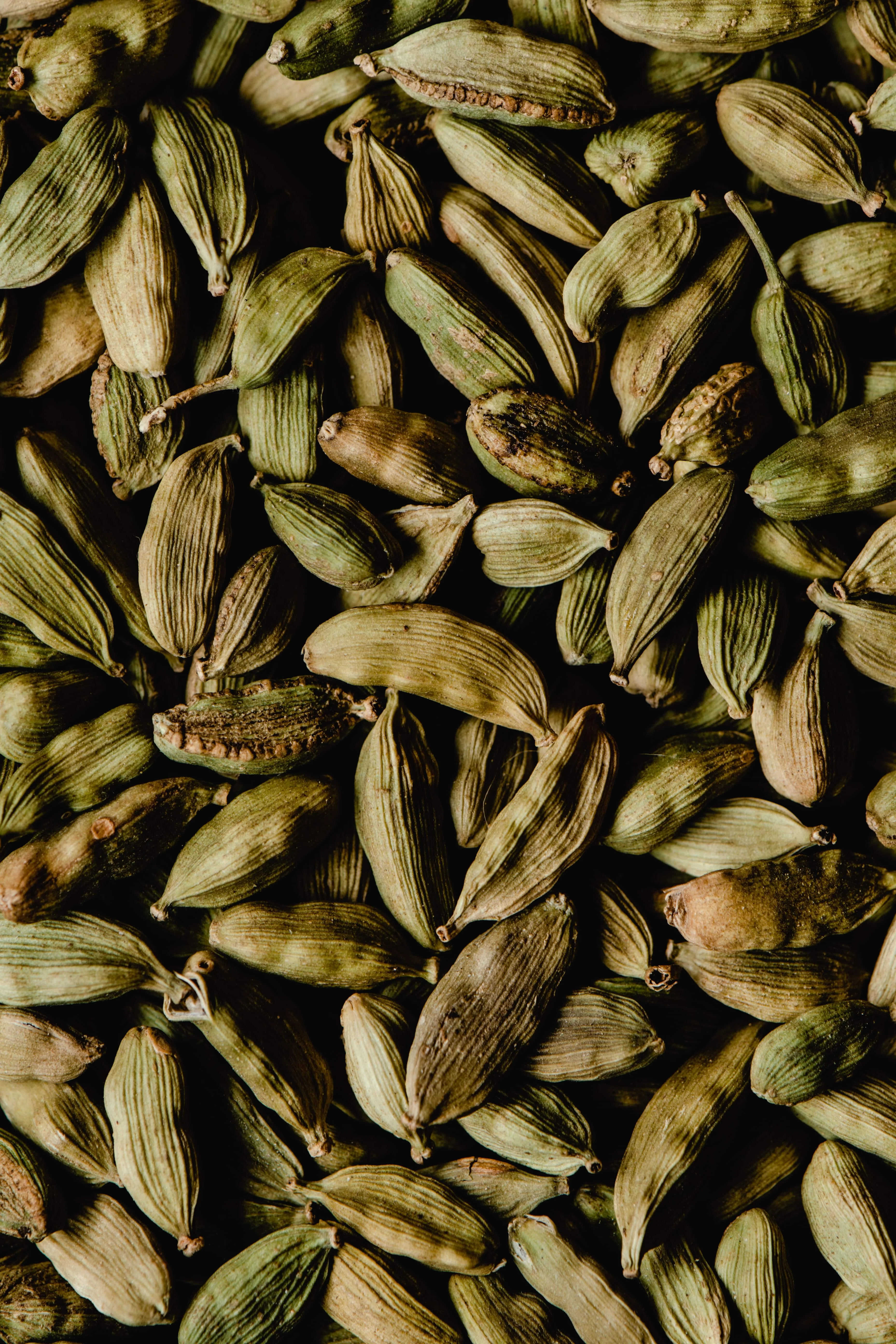 Wholesale top natural dried cardamom to ensure safety and health in factory Vietnam