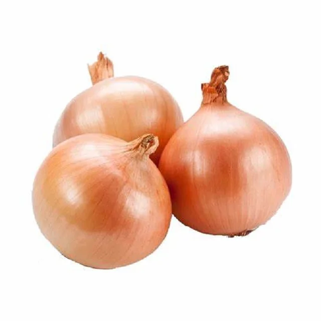 High Quality Best Selling Fresh Onions for Bulk Sale