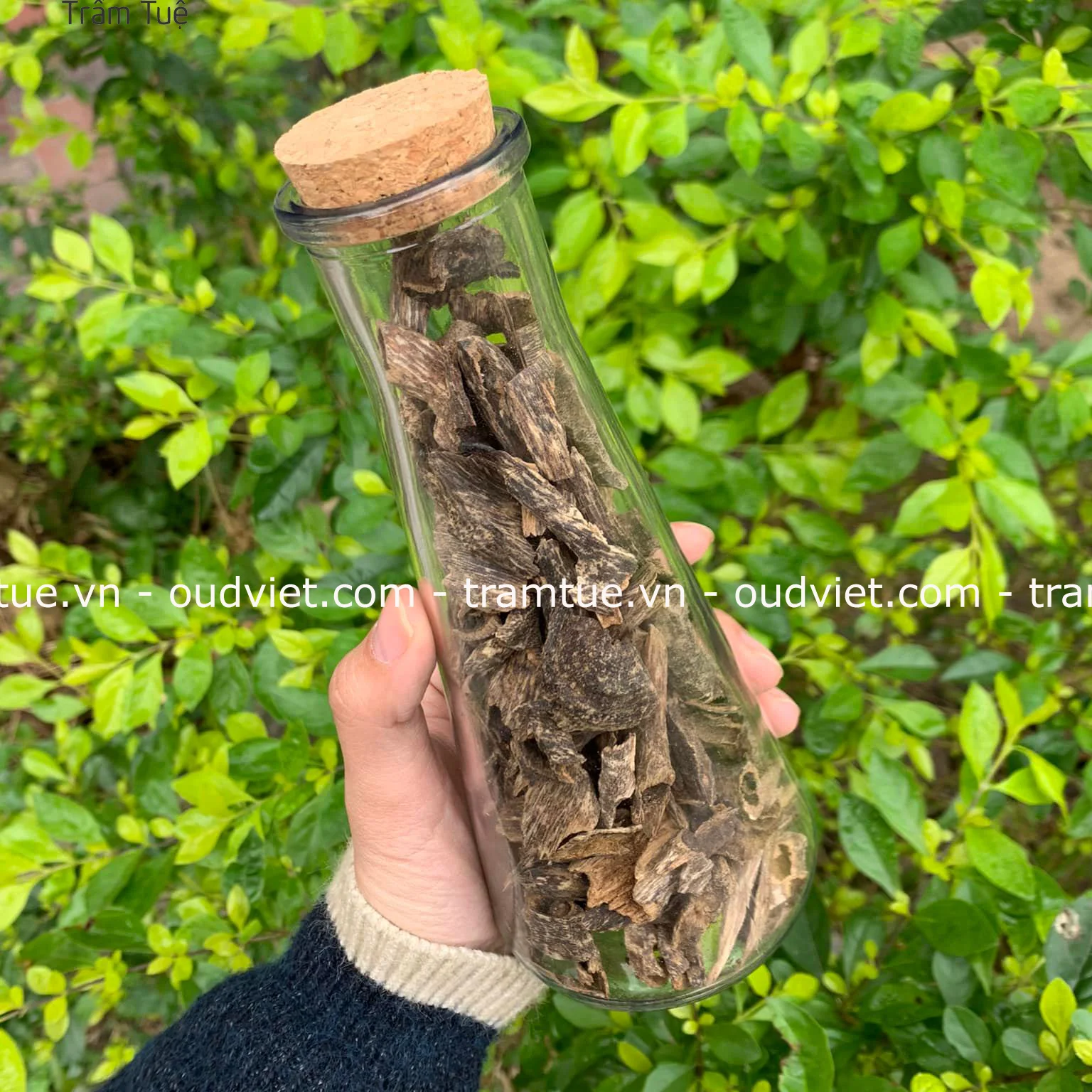 Vietnamese Hot Whole Sale High-quality Natural no Chemical Oud Agarwood Chips Pieces for making Oudh Incense Cone, Stick, Coil