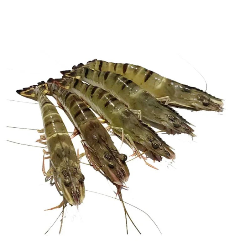 Черная Тигровая креветка замороженная черная высокого качества целая много размеров вьетнамская фабрика