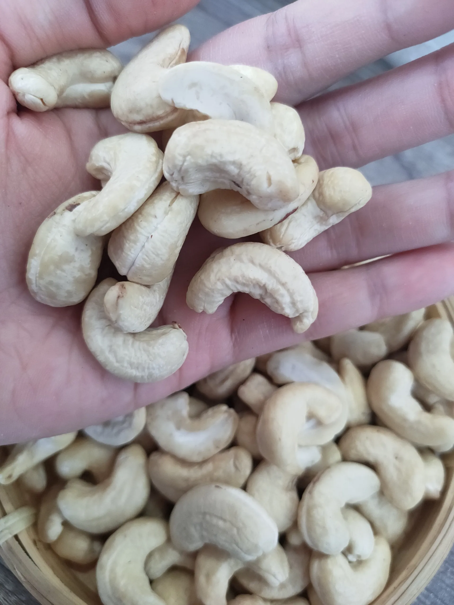 [Free Sample] Vietnam Raw Cashew Nut Kernel Fresh Roasted and Dried for Food WW320 & WW240 & WW450 Grade Processed - ANNA DO