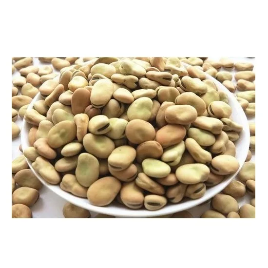 Wholesale High quality Factory Price Fresh/Dried Broad Beans For Sale